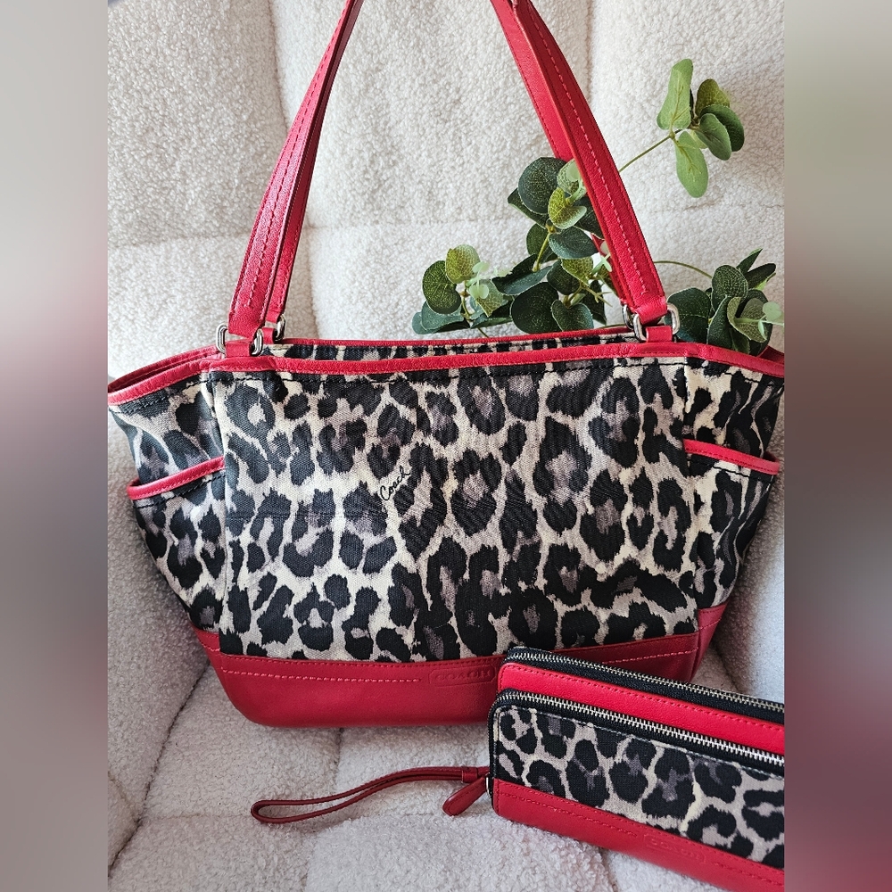 Coach Leopard Print Set: Tote & Wallet